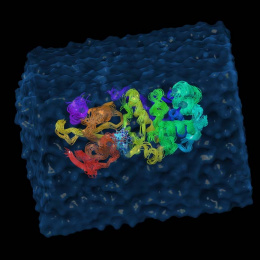 molecular model of a protein surrounded by blue