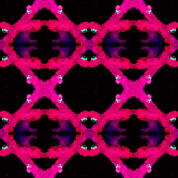 close-up hexagonal lattice-like pattern of cells in pink