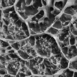close up view of three dimensional irregular web-like patterns