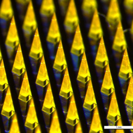 lines of pyramid-shaped microneedles glowing yellow