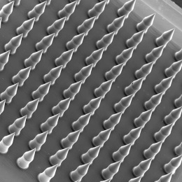 lines of microneedles in grey with a glow around the edges, arranged on a tilted plate