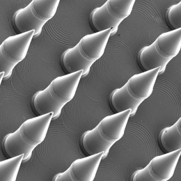 zoomed in view of diagonally oriented microneedles in grayscale