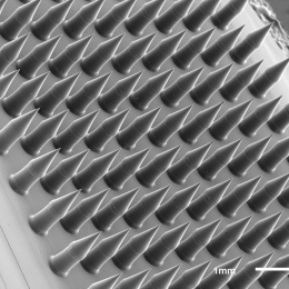 conical microneedles on a titled base