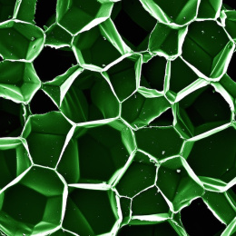 polygonal compartments of various depths, in green