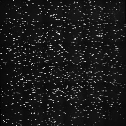 hundred of comet tail assays on a black background