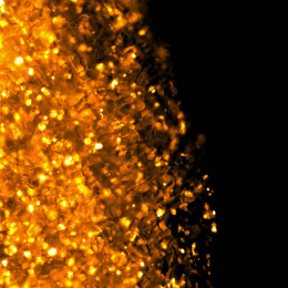cells (in gold) disperse against a black background