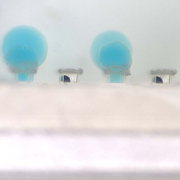 blue bubbles emerging from clear rectangular capsules