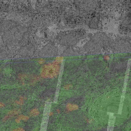 textured patches in grey on the top of the image becomes green panels with reddish yellow spots striped across the bottom of the field