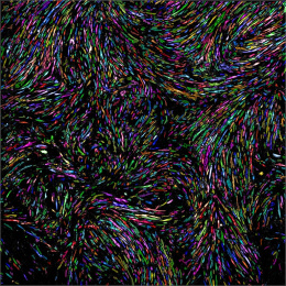 multicolored whorls of cell data, resembling ocean currents or fingerprints