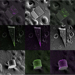 nine-panel mosaic of cubic, pyramidal, and cylindrical structures in magenta, green, and grayn