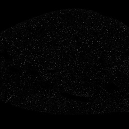 Liver structure with grey dots in a black background