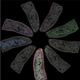 Nine multi colored pillar like structures converging towards a center in a black background
