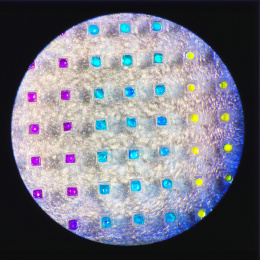 A white circle with arrays of small purple, blue and yellow squares in a black background