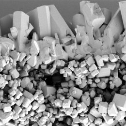 Black and white image of a pile of small square crystals, with long tooth-like crystals arranged across the top