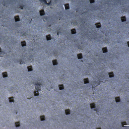 An array of polymer microparticles impregnated with gold nanorods is pictured on a standard glass microscope slide.