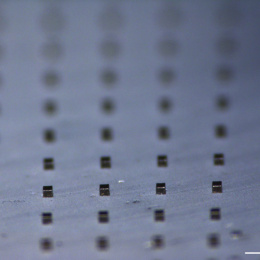 An array of polymer microparticles impregnated with gold nanorods is pictured on a standard glass microscope slide.