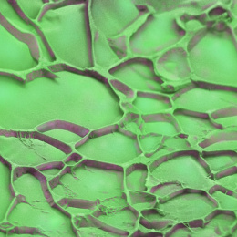 Close-up of a green surface showing visible cracks and texture variations.
