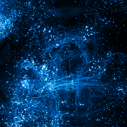 Vibrant blue background with lights, highlighting the detailed neuronal network of a transgenic mouse brain expressing GFP.