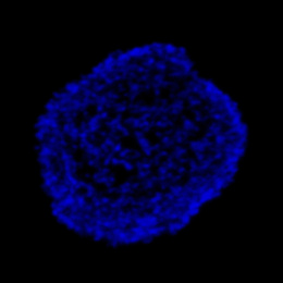 An abundance of glowing violet circular clusters in a round formation