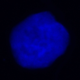 Glowing violet to bluish hued spheroid floating in black